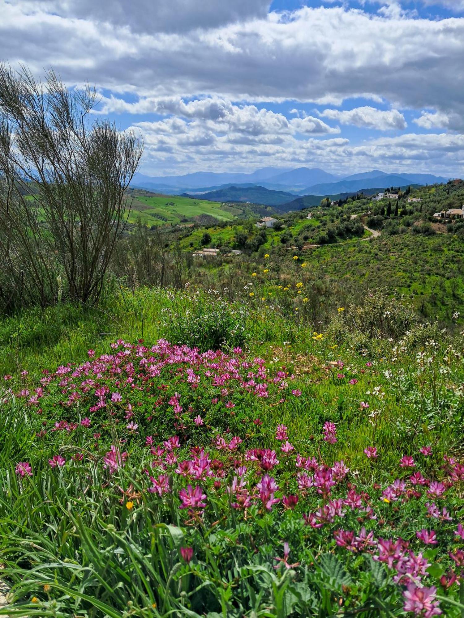 Finca Amorosa Villanueva de la Concepcion Ngoại thất bức ảnh